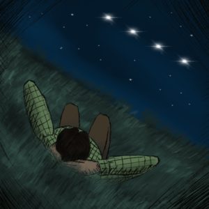 Stelle cadenti